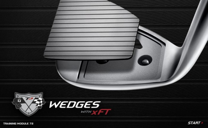 Wedges-1